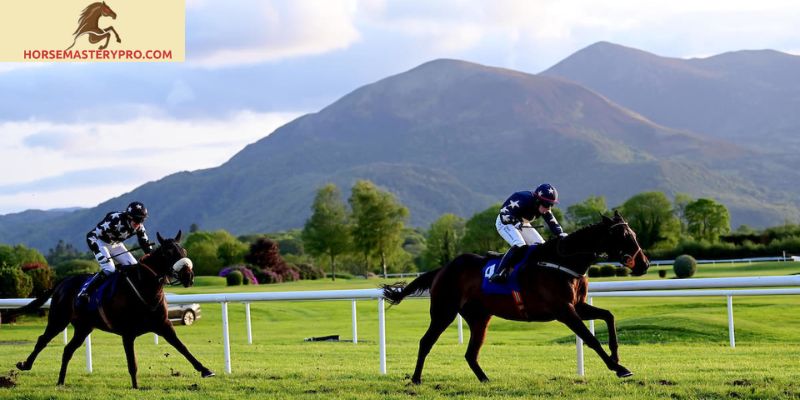 Horse Racing Tips Killarney