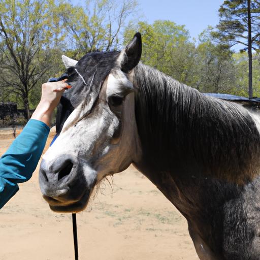 A horse enjoying a relaxing grooming session, building a strong bond with its caretaker.