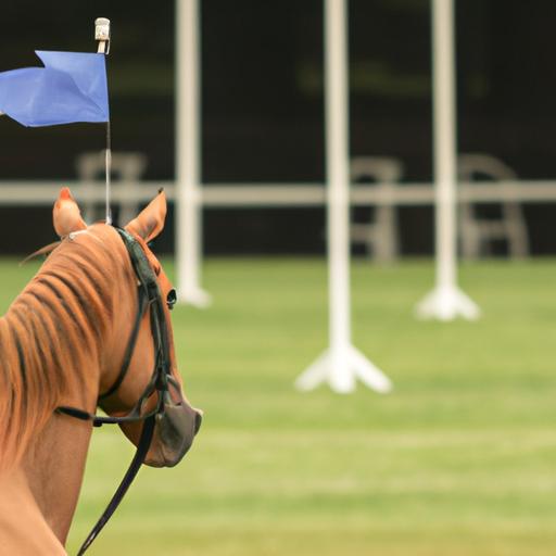 Horse training flags provide a non-verbal language to communicate specific instructions to the horse.