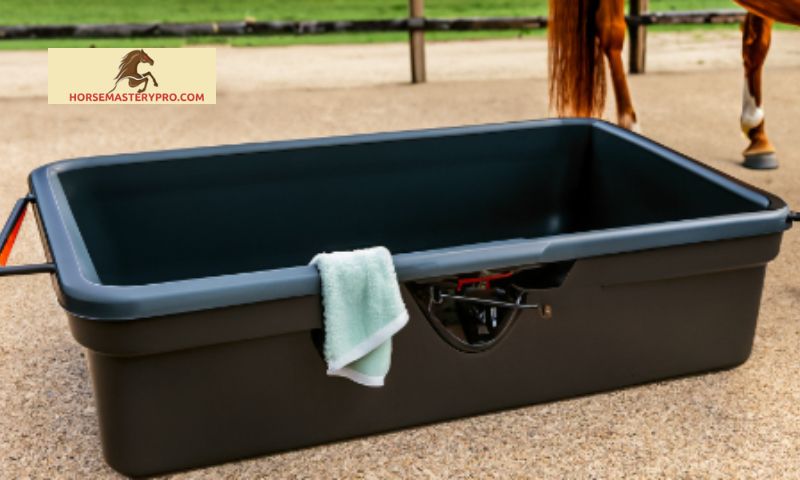 Benefits of Using a Unique Horse Grooming Box