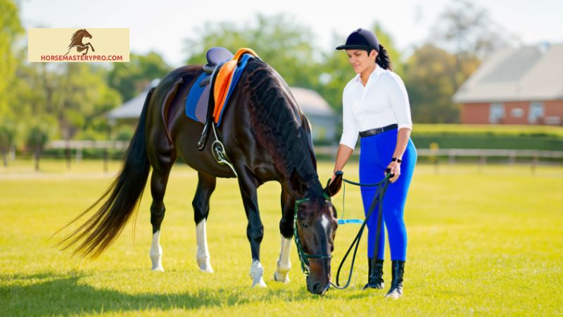 The Benefits of Hiring Sara Miller as a Horse Trainer