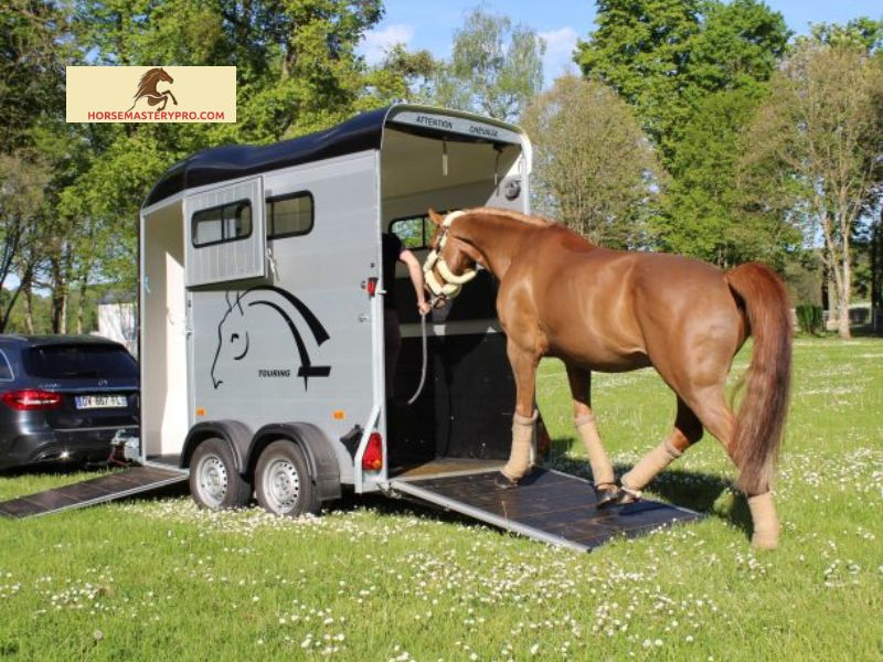 Factors to Consider When Buying a 1 Horse Trailer