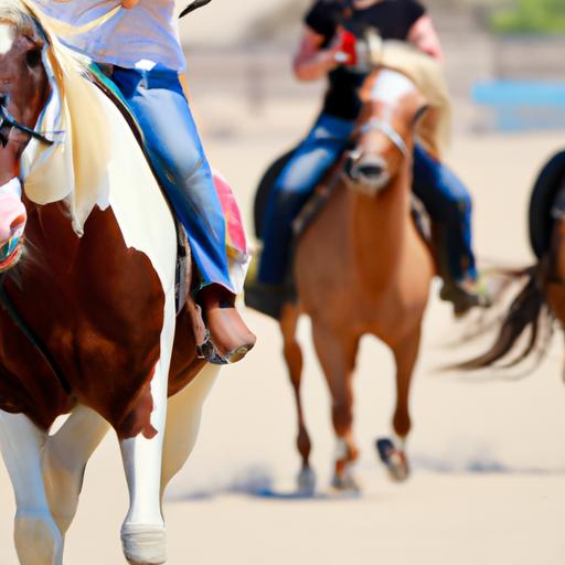 Thrilling adventures await riders on the diverse 6 equestrian ways.