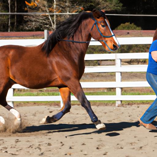Learn the foundations of horse training through Ann Cole's expert groundwork techniques.