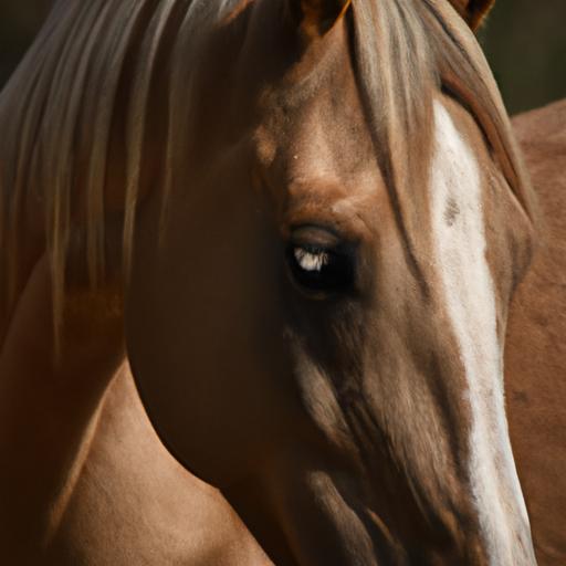 Experience the Arabian Horses' exceptional speed and agility as you embark on thrilling adventures.