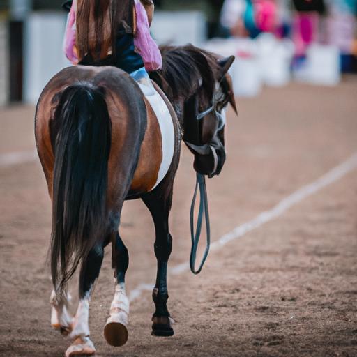 A young rider establishing a connection with their horse while leading it in a lead line horse competition.