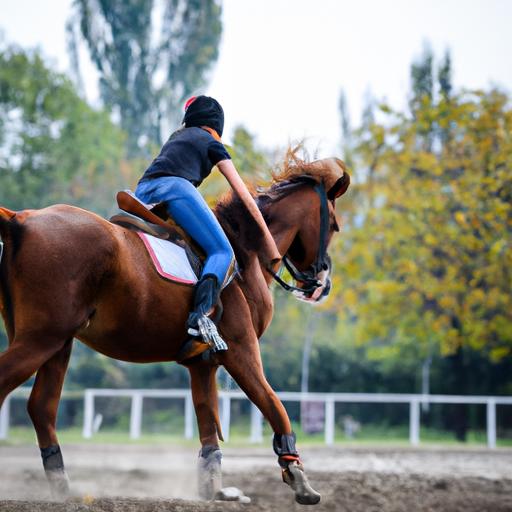Exploring the world of horse sports to find the perfect match for beginners