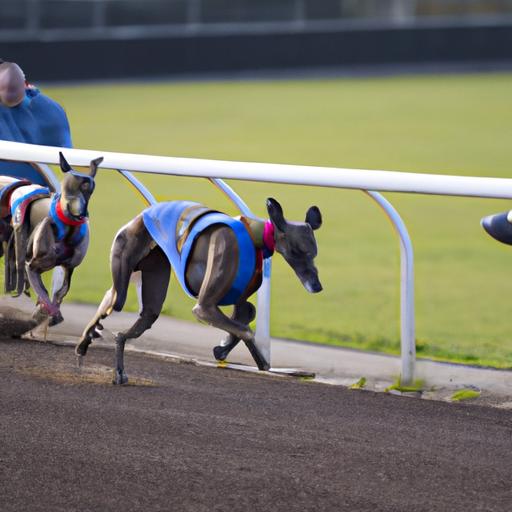 A greyhound displaying its incredible speed under the guidance of trainers.