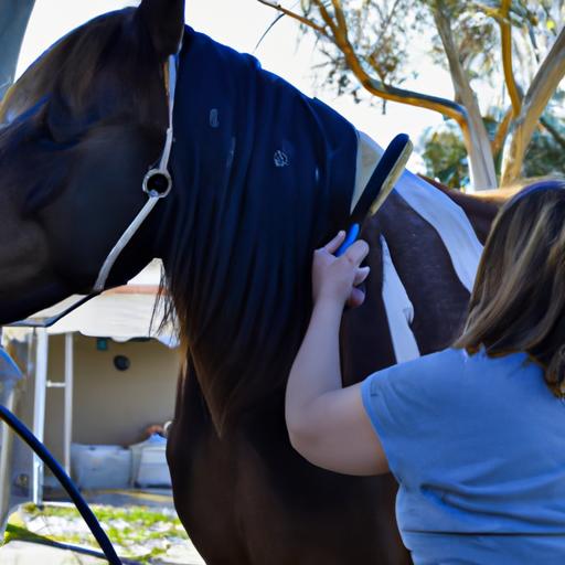 Taking care of a horse's coat is essential for its overall health and appearance.