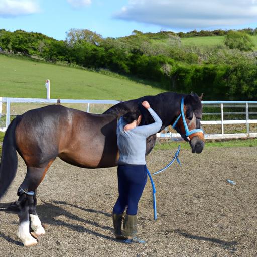 Discover the incredible bond between Irish trainers and their horses