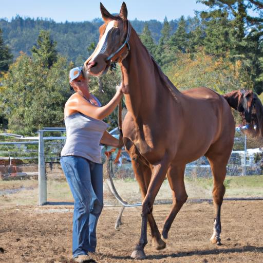 A horse training pro using positive reinforcement techniques to address behavioral challenges in a young horse.