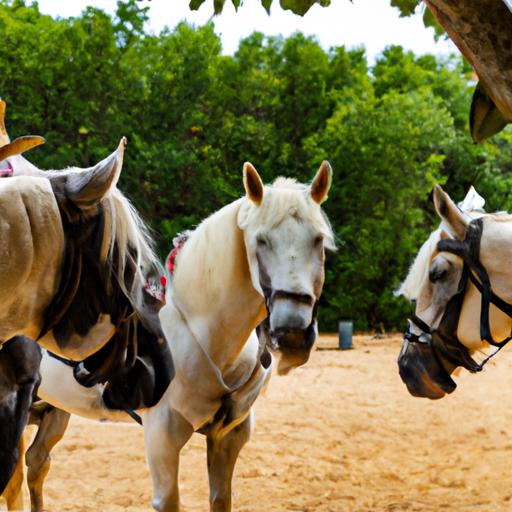 A group of well-trained horses showcasing their agility and obedience at my Texas ranch horse training center.