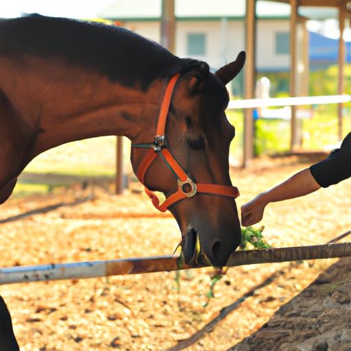 A horse displaying increased confidence and trust after undergoing desensitization training.