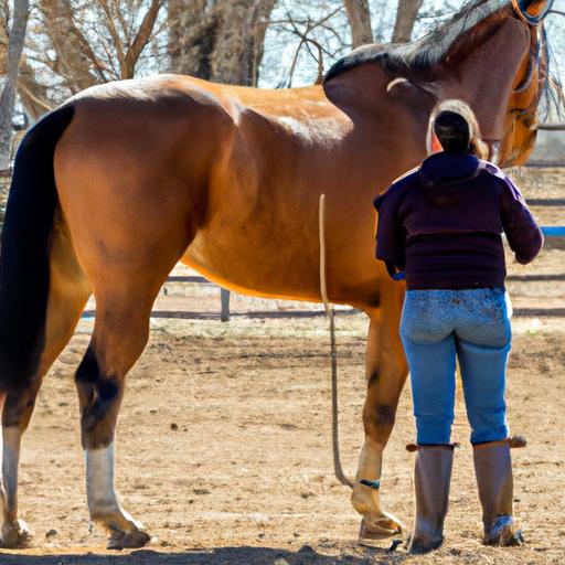 The vital role of a knowledgeable horse trainer in nurturing horse talents.