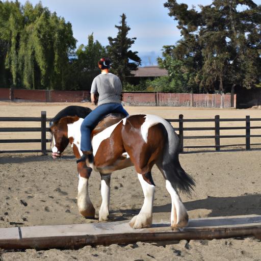 Harnessing the power of positive reinforcement in 5-star horse training.