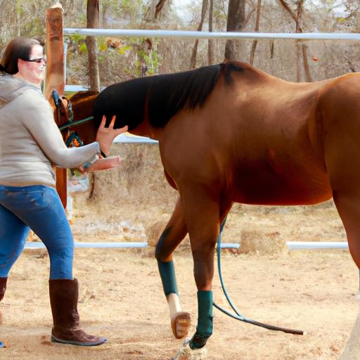 Discover the power of positive reinforcement at The Horse Training Channel.