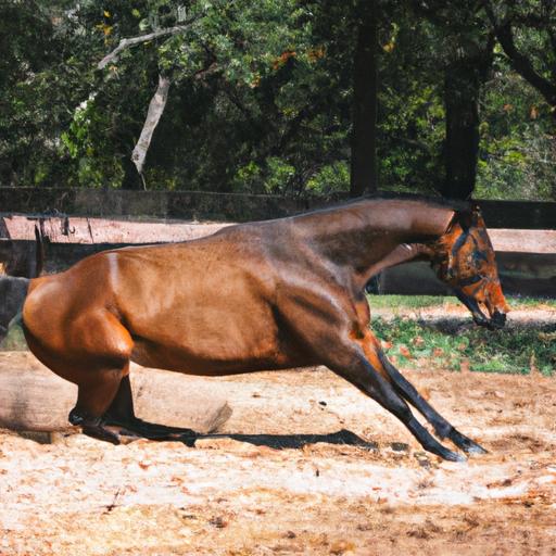 The Quarter Horse: Powerful and Versatile