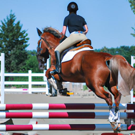 Experience the thrilling precision of sport horse show jumping in Whitestown.
