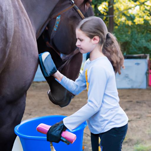 Building trust and care through grooming with the Our Generation Horse Care Set.