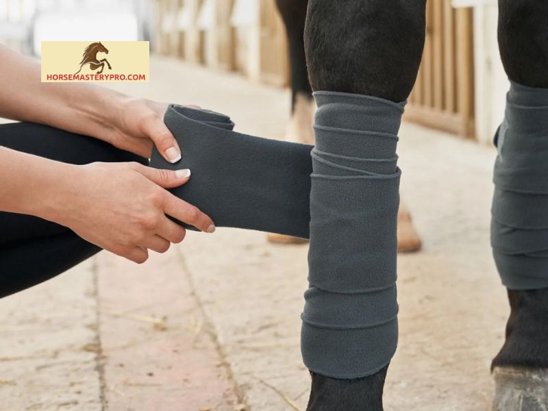 Causes of Wind Puffs in Horses