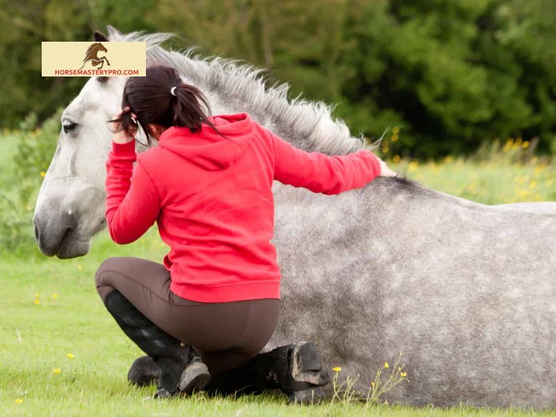 Horse Perception and Sensitivity