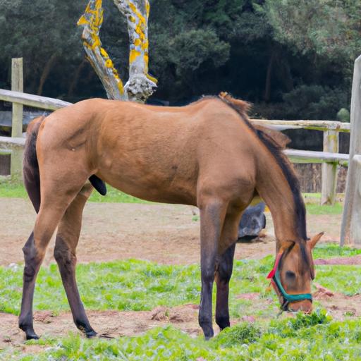 A horse returning to normal activities after successful colic surgery