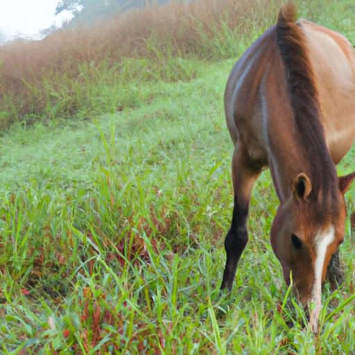 Horse grazing on dew-covered grass, a potential trigger for dew poisoning.