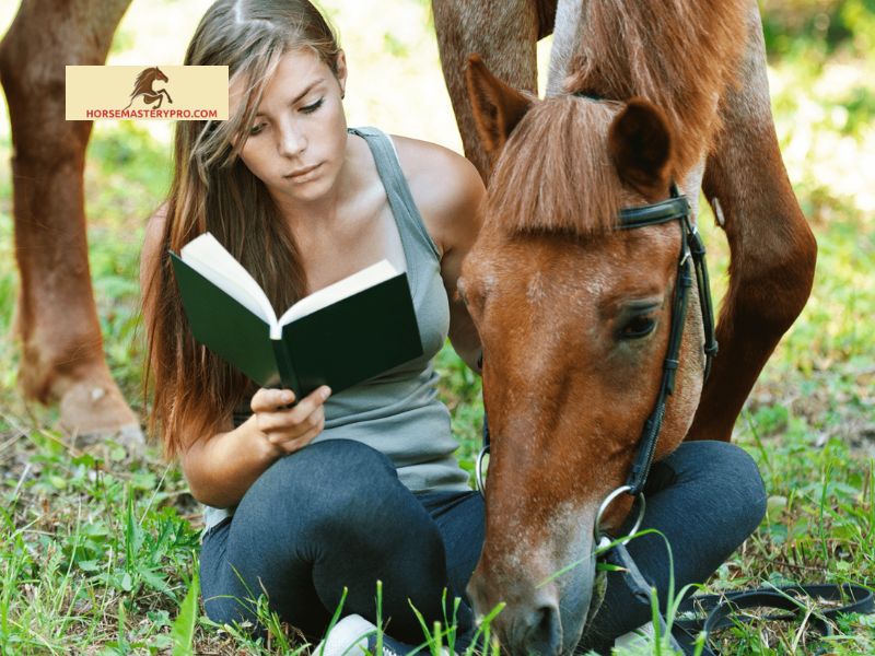 Factors to Consider When Choosing a Book Series about Horses