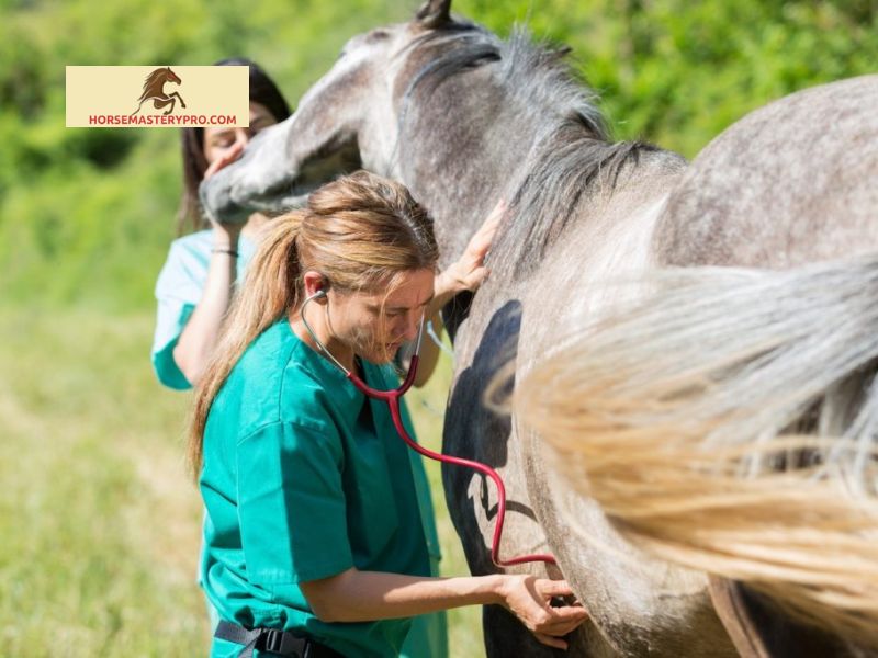Beer as a Potential Treatment for Colic in Horses