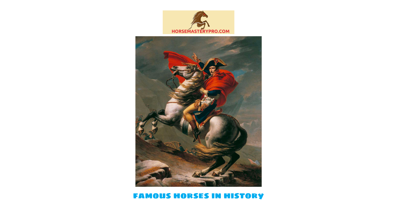 famous horses in history