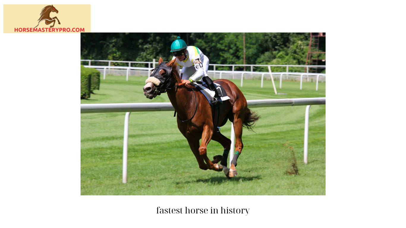 fastest horse in history