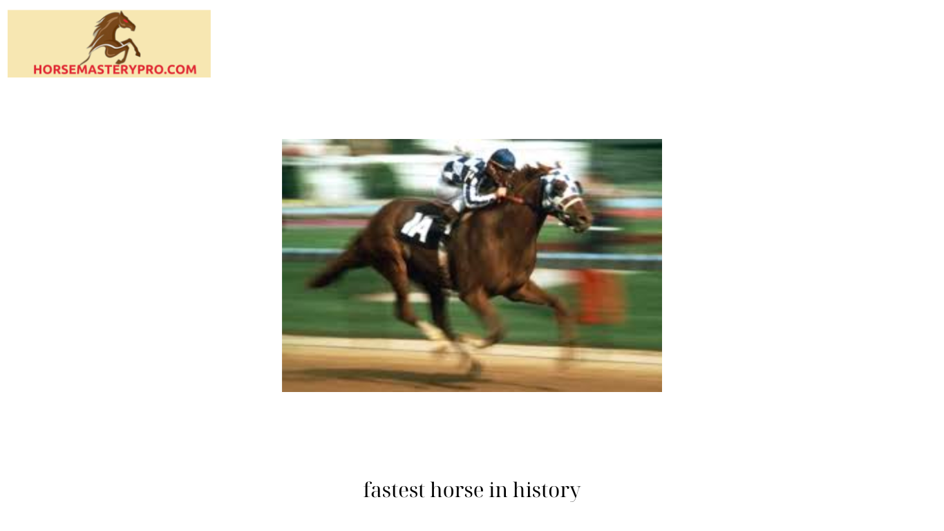 fastest horse in history 2