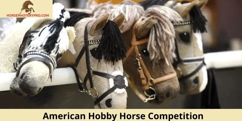 American Hobby Horse Competition