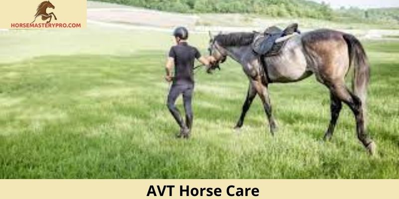 AVT Horse Care
