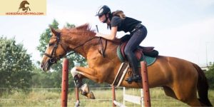 Horse Training Leads