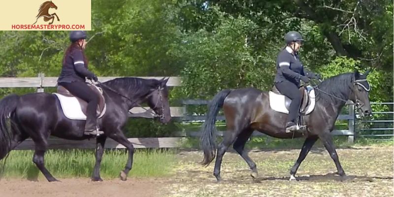 What is Flexion in Horse Riding