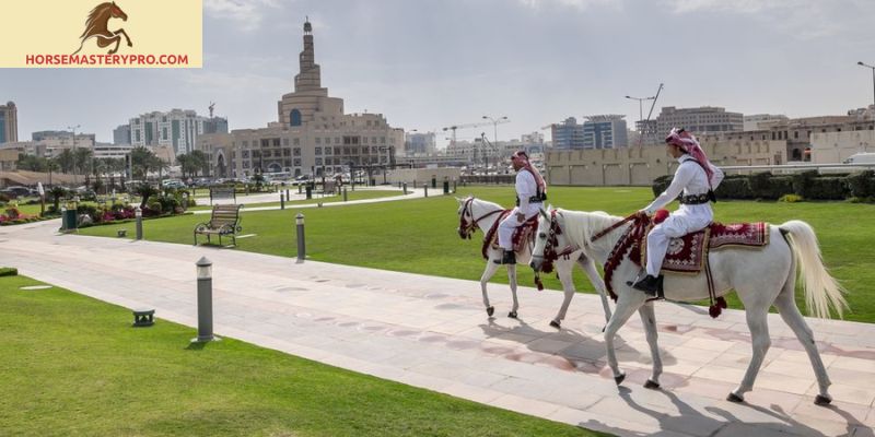 Horse Riding Clothes Qatar