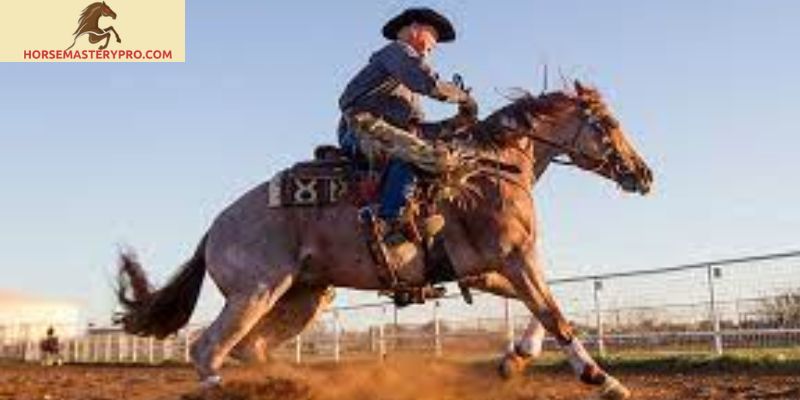 Doug Williamson Horse Trainer
