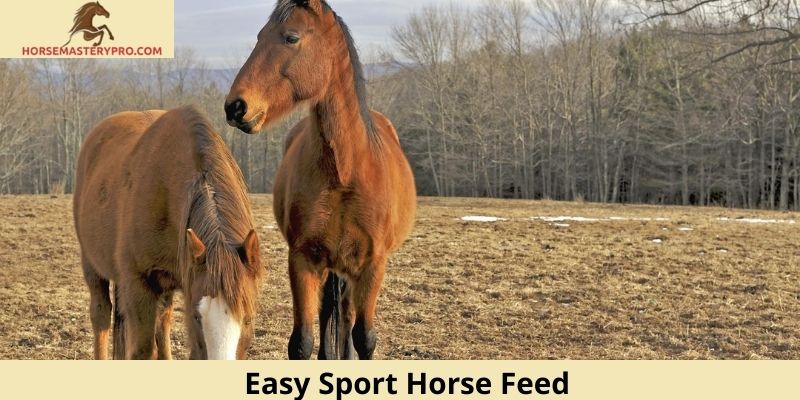 Easy Sport Horse Feed