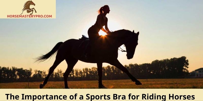 The Importance of a Sports Bra for Riding Horses