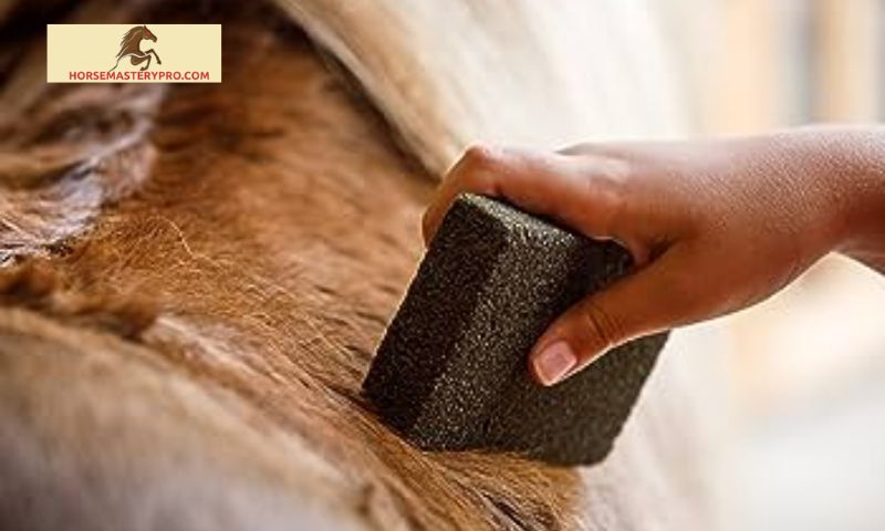 The Importance of Horse Grooming: Introducing the Slick and Easy Horse Grooming Block