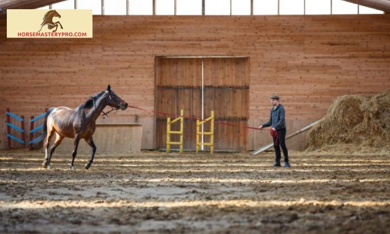 Equestrian Job Description: Unlocking the Path to Success