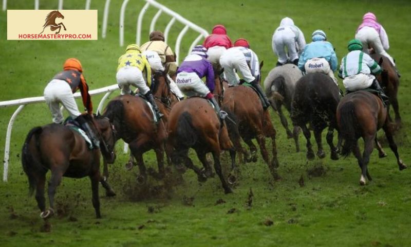 Popular Horse Racing Tips for Catterick Races
