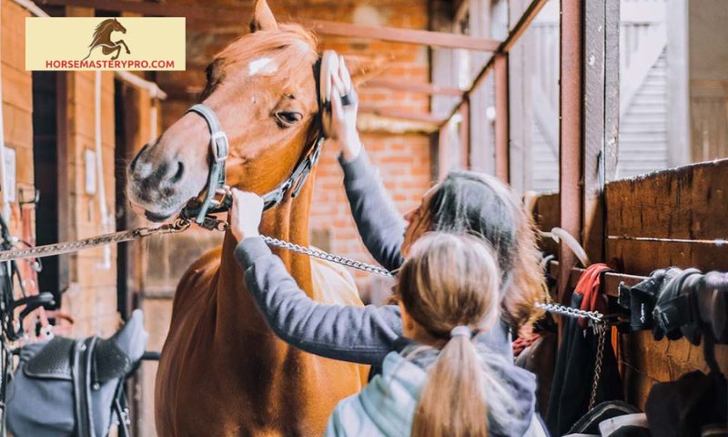 Roma Horse Grooming Kit: The Ultimate Solution for Proper Horse Grooming