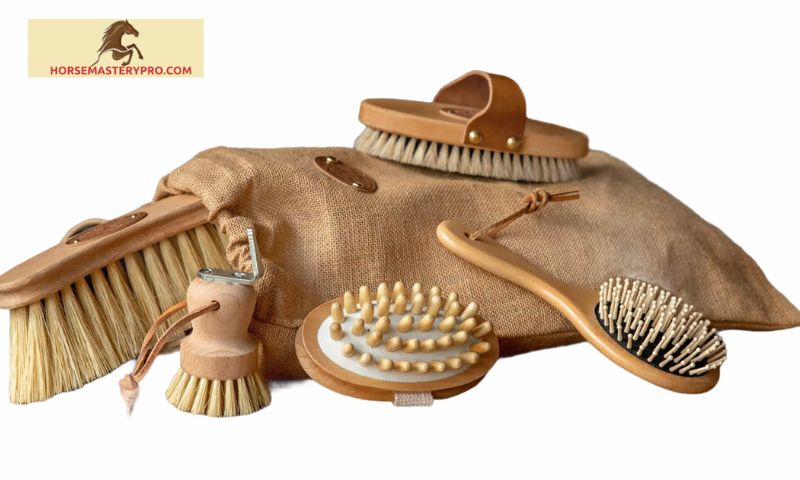 Understanding the Roma Horse Grooming Kit