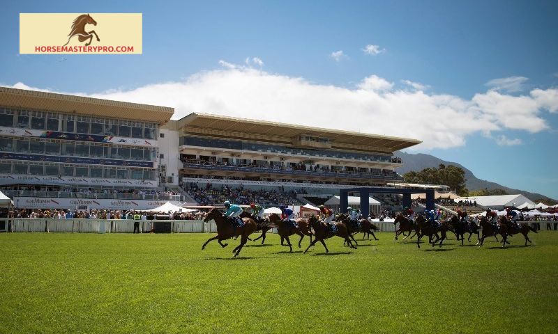 Expert Tips for Successful Betting at Durbanville