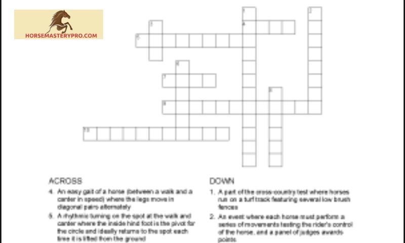Equestrian Gear Crossword: Enhance Your Horse Knowledge with a Puzzle Adventure