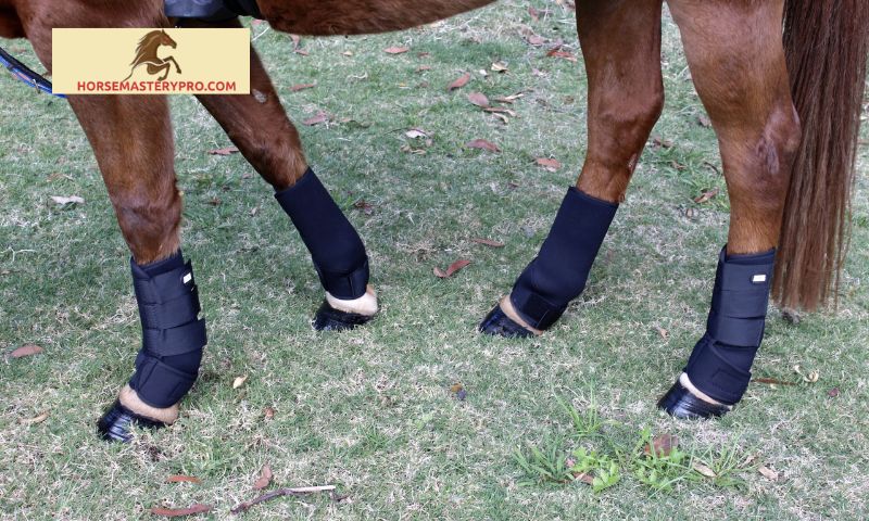 Advantages of Using Mint Horse Sport Boots