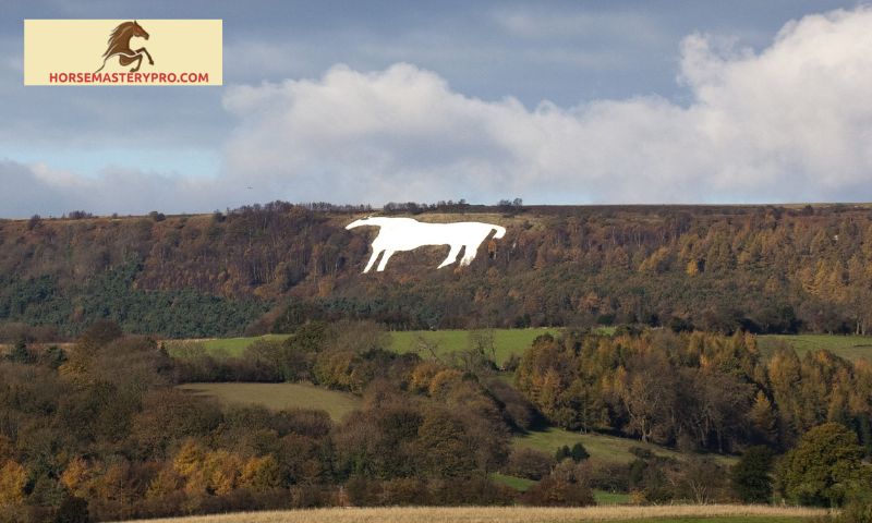 Overview of Kilburn White Horse