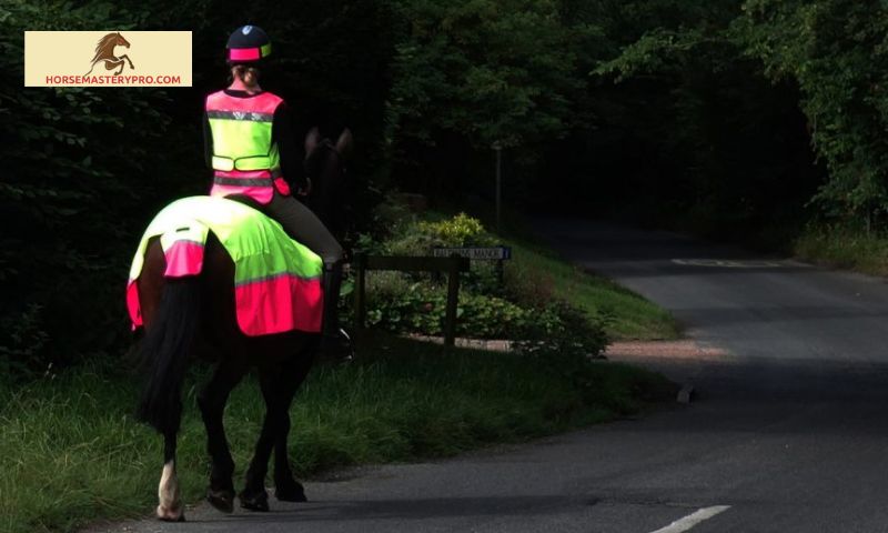 Reflective Horse Riding Gear: Riding Safely with Style